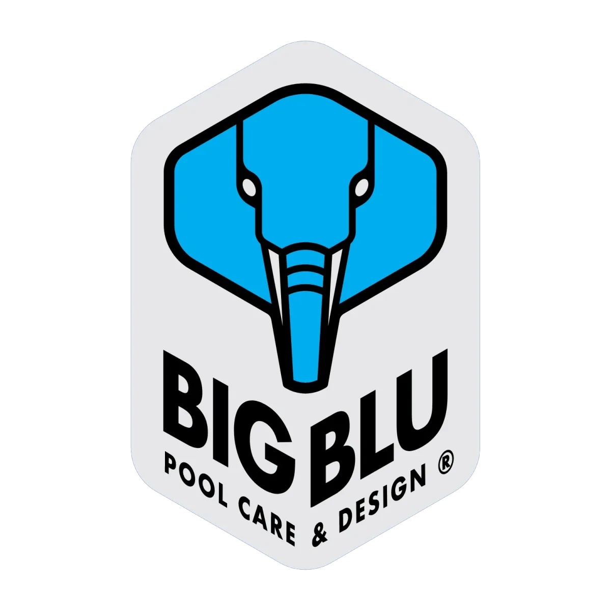 Big Blu Logo